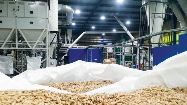 Организация производств переработки лесопильных отходов