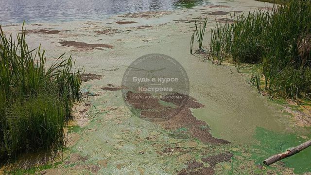 Спасти пожарный водоем в деревне Жданово